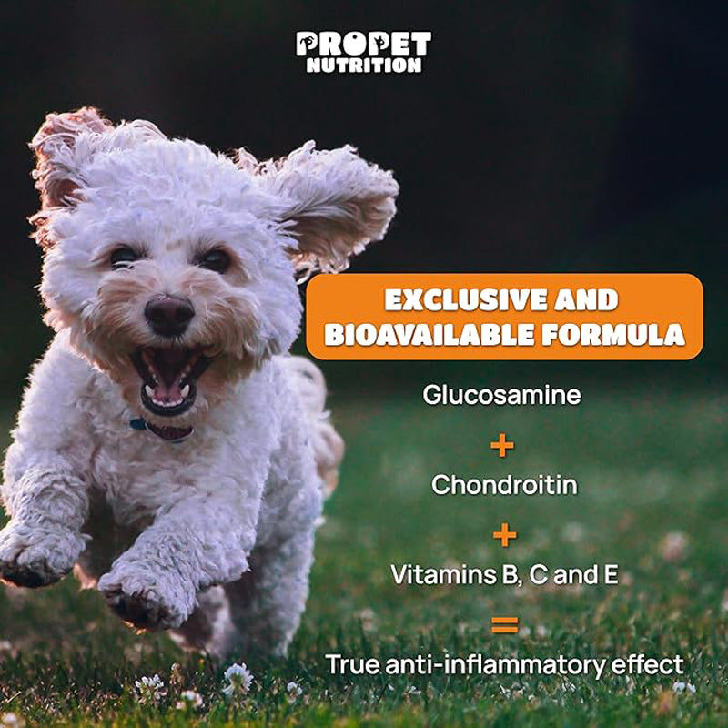 Joint Supplements For Dogs And Cats With Glucosamine, Chondroitin, 10 Vitamins, Hyaluronic Acid And MSM by Josla