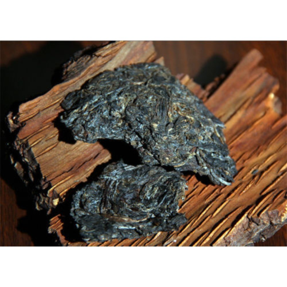 CIFbuy Yunnan Ripe Pu-Erh Tea 1 00g Mini Tuo Cha Ancient Tree Tea by Josla