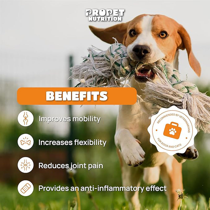 Joint Supplements For Dogs And Cats With Glucosamine, Chondroitin, 10 Vitamins, Hyaluronic Acid And MSM by Josla