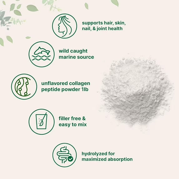 Micro Ingredients Marine Collagen Peptides Powder, 1 lb | Type I Marine Collagen + Natural Protein | Wild-Caught Fish Source - Unflavored, Pescatarian, Non-GMO by Josla Marketplace