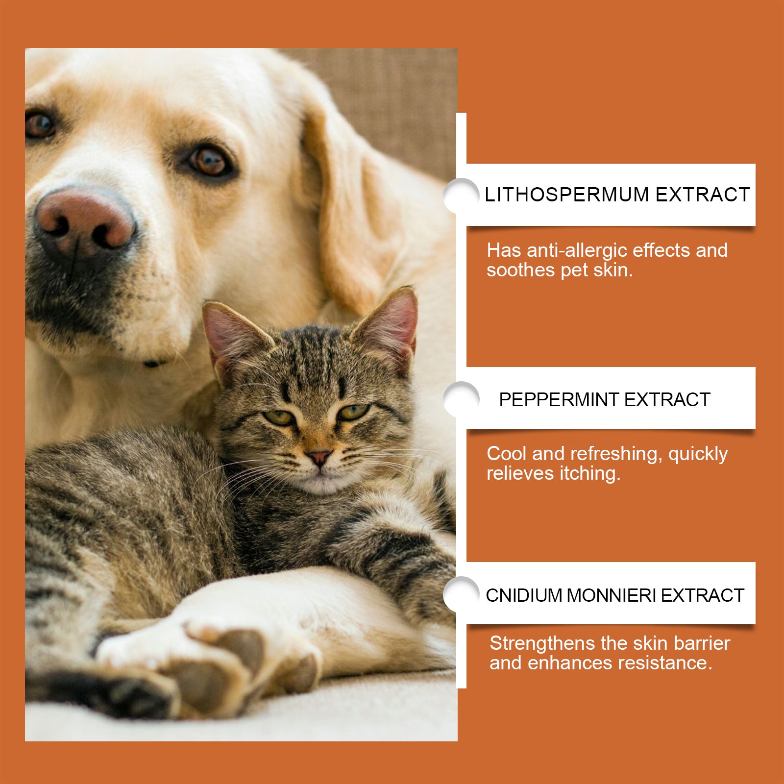 Pet Itch & Allergy Relief Cream, Soothing Skin For Dogs & Cats, Natural Herbal Extracts For Itch, Bites & Irritated Skin, 50g by Josla