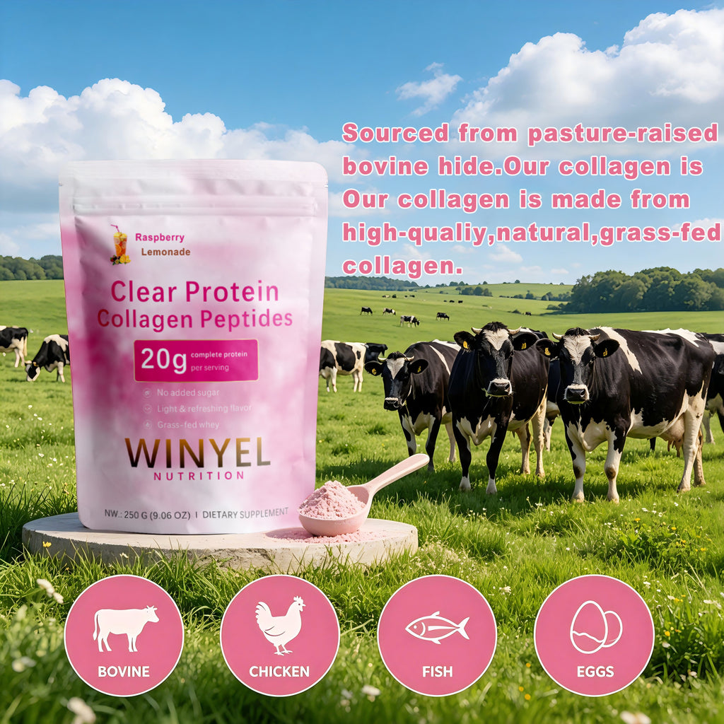 WINYEL Nutrition Clear Protein Collagen Peptides, Raspberry Lemonade, 20g Protein, Zero Sugar, Grass-Fed Whey, 250g by Josla