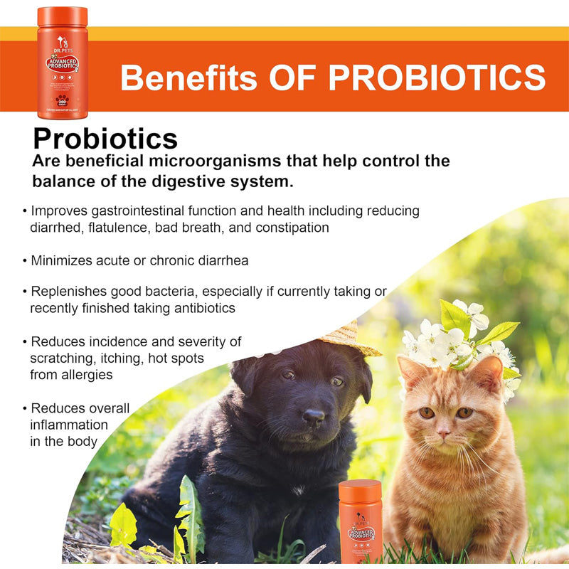 Joint Supplements For Dogs And Cats With Glucosamine, Chondroitin, 10 Vitamins, Hyaluronic Acid And MSM by Josla