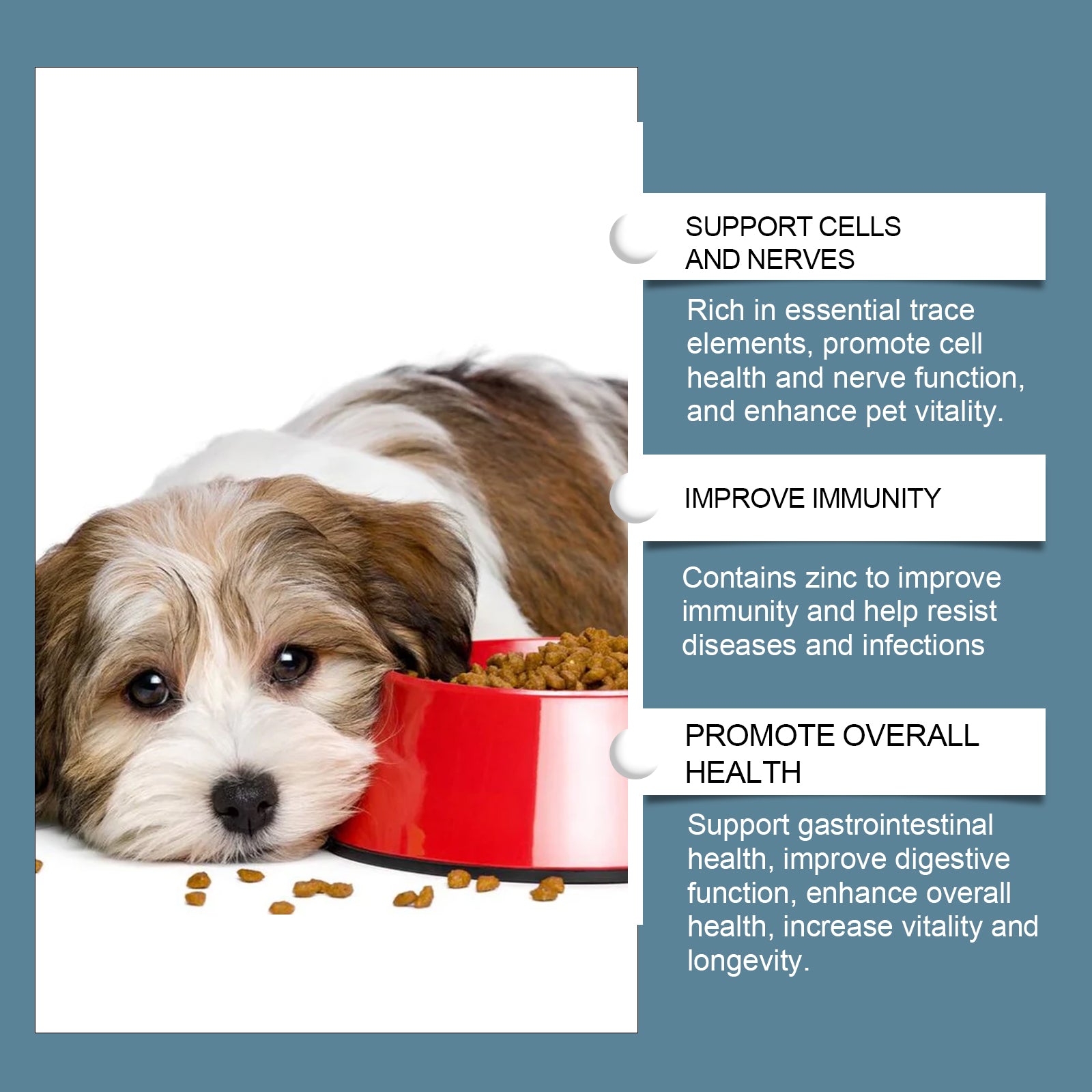 Dog Mineral Supplement Tablets, 80 Chewable Minerals Tablets For Pica, Appetite & Bone Health Support, Non-GMO Human Grade Pet Vitamins by Josla