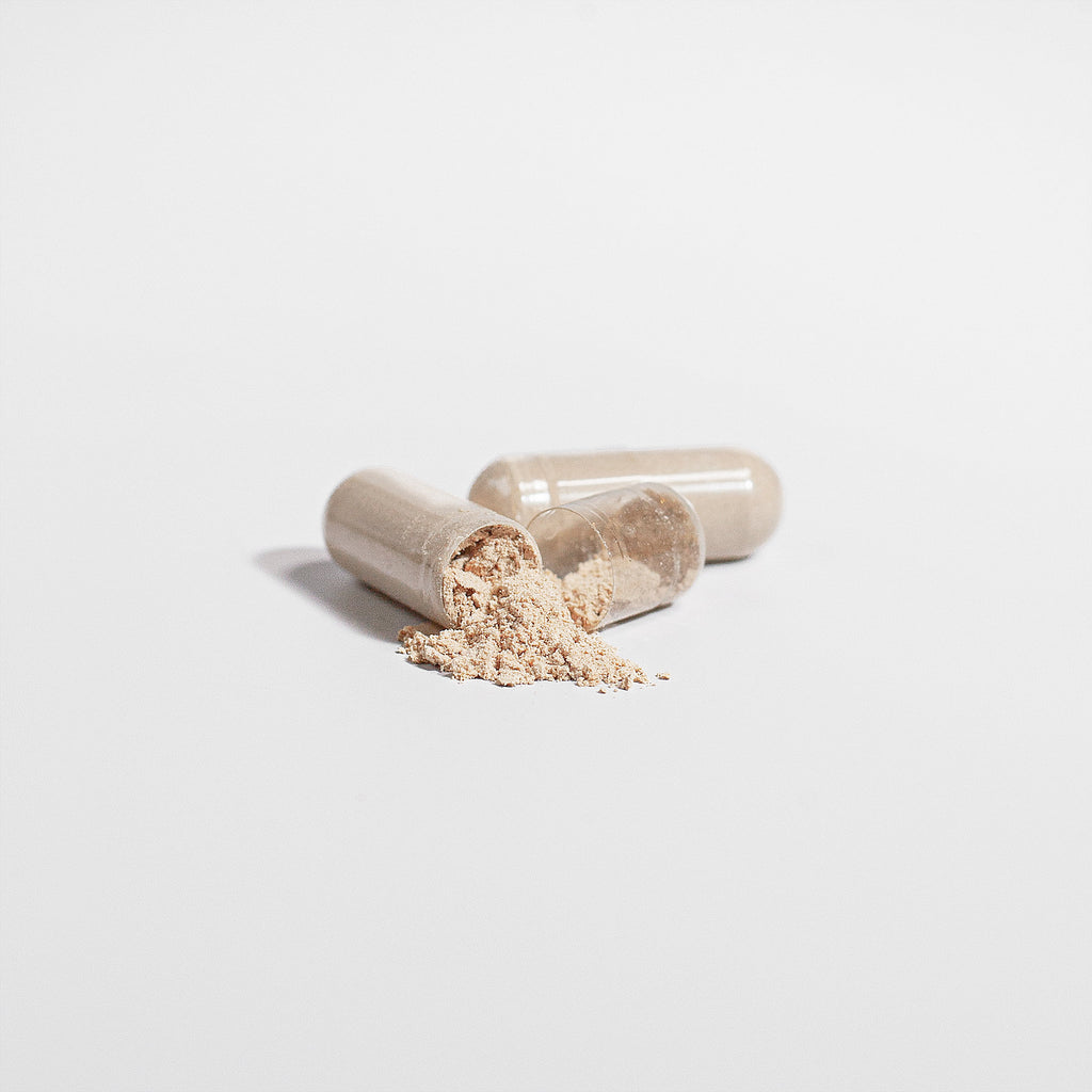 Lions Mane Mushroom Supplement Cognitive Support, Focus, Mood Boost, And Recovery For Athletes by Josla