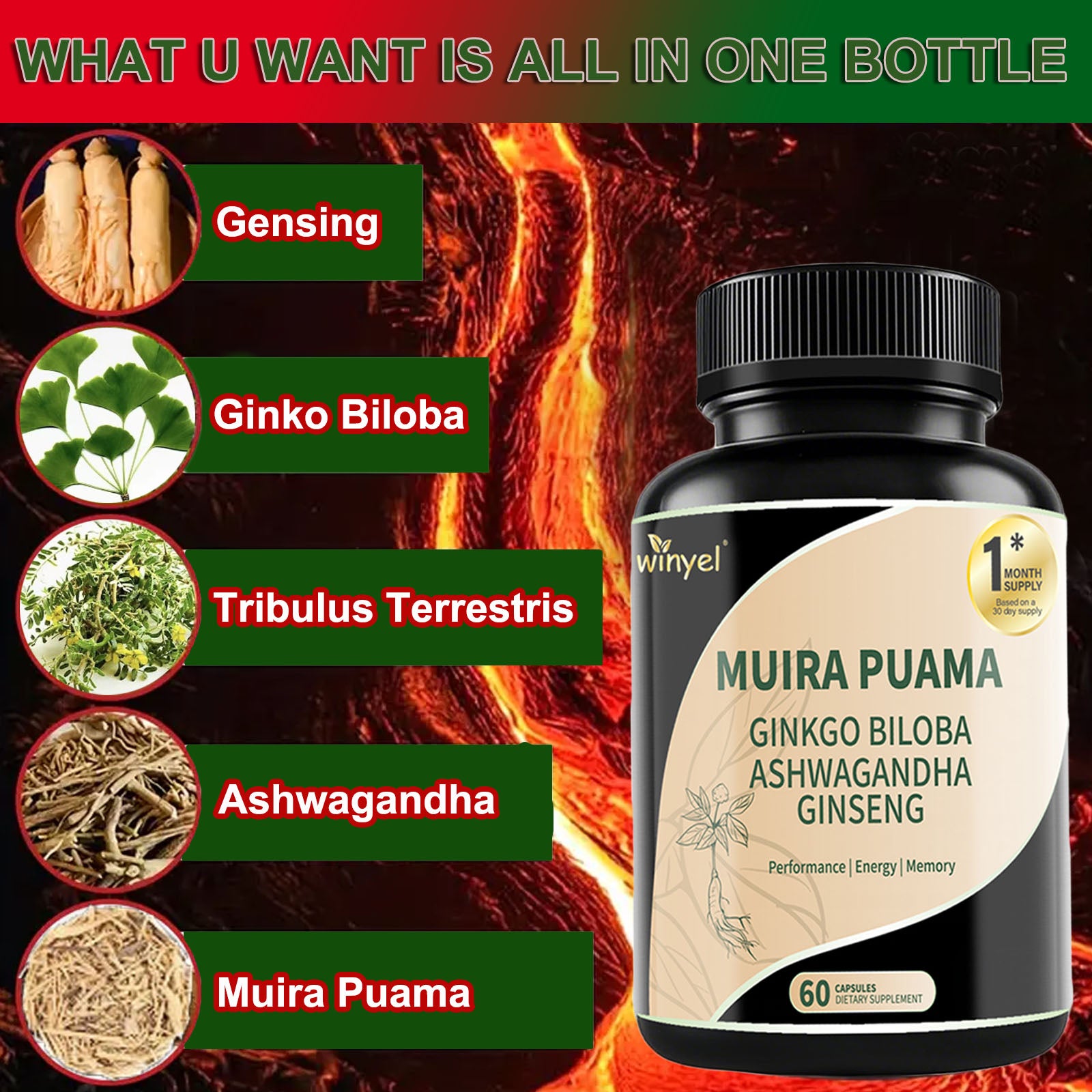 Muira Puama Ginseng Ashwagandha Ginkgo Tribulus Herbal Supplements Unleash Your Potential Through Our Pills Dietary Supplements, Help Promote An Active And Healthy Lifestyle 60 Capsules by Josla