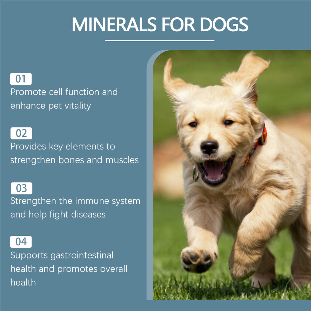 Dog Mineral Supplement Tablets, 80 Chewable Minerals Tablets For Pica, Appetite & Bone Health Support, Non-GMO Human Grade Pet Vitamins by Josla