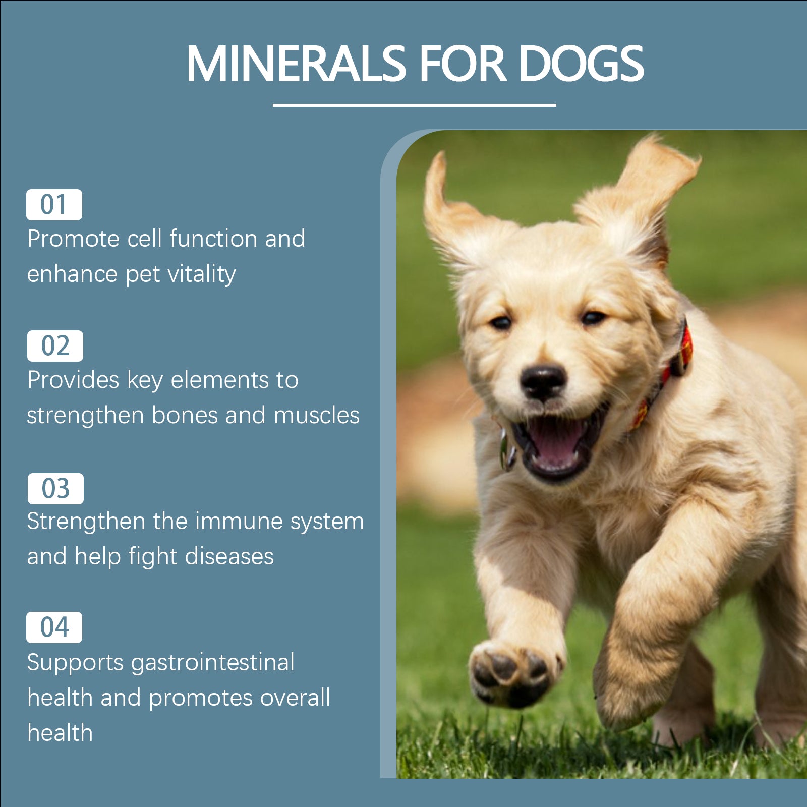 Dog Mineral Supplement Tablets, 80 Chewable Minerals Tablets For Pica, Appetite & Bone Health Support, Non-GMO Human Grade Pet Vitamins by Josla