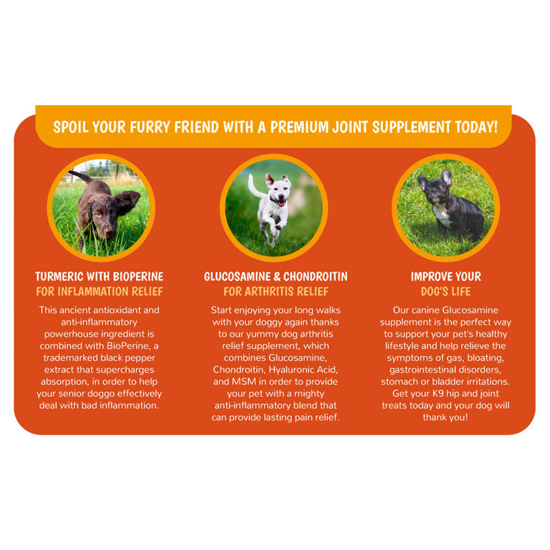 Joint Supplements For Dogs And Cats With Glucosamine, Chondroitin, 10 Vitamins, Hyaluronic Acid And MSM by Josla