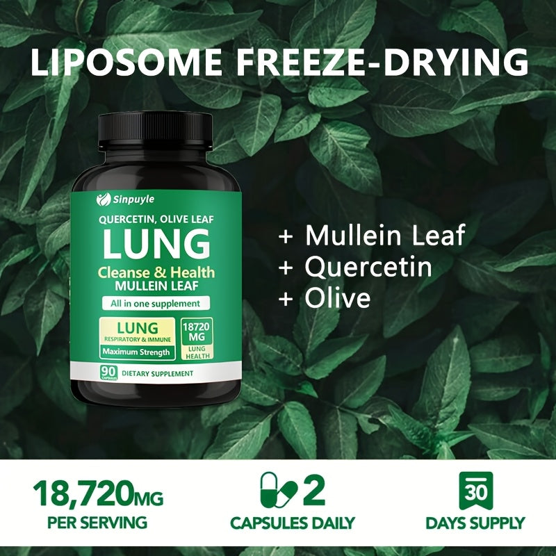 Lung Cleanse Respiratory Support Supplement Mullein Leaf Quercetin 90 Capsules by Josla
