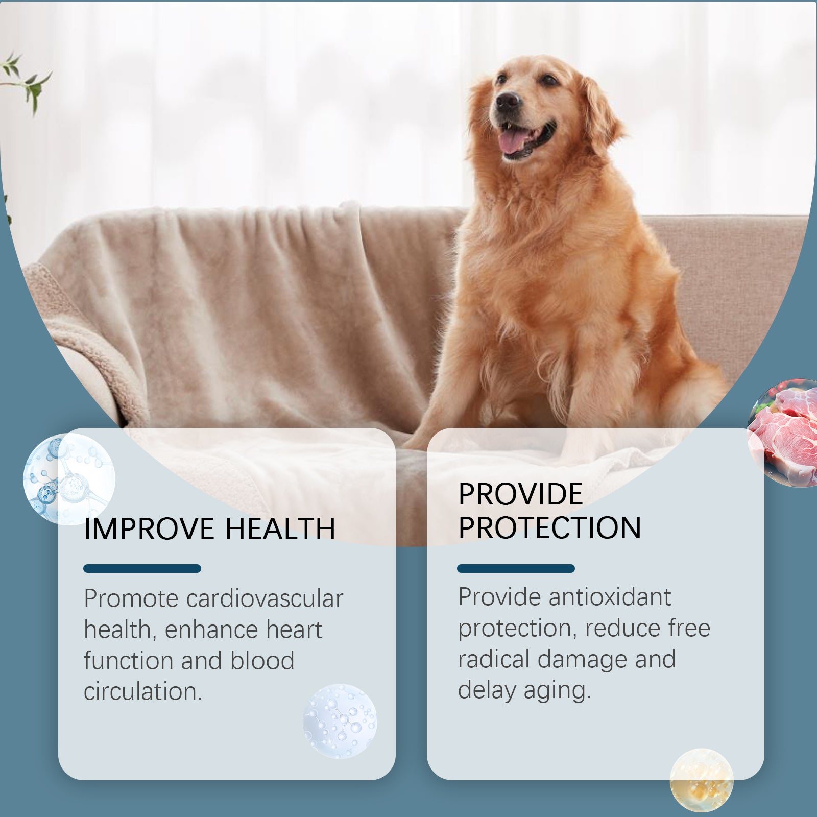 Dog Mineral Supplement Tablets, 80 Chewable Minerals Tablets For Pica, Appetite & Bone Health Support, Non-GMO Human Grade Pet Vitamins by Josla