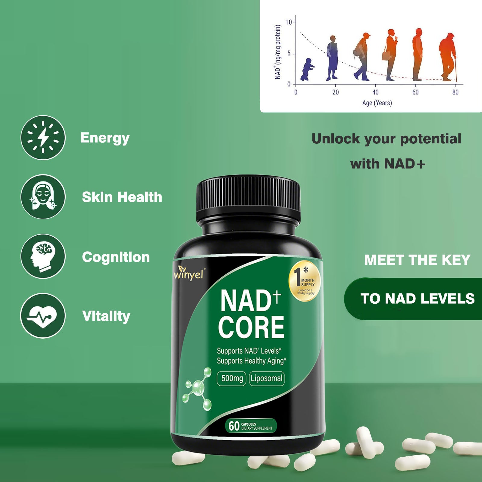 60 Capsules Of High-concentration Liposomal NAD Enhancer - Energy, Focus, And Healthy Aging, Containing Nicotinamide Riboside, Resveratrol, And Rutin - High-quality, High-purity Formula by Josla