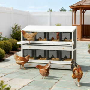 Chicken Nesting Box, 8 Compartment Wood Laying Boxes For Chicken Coop - Image 1