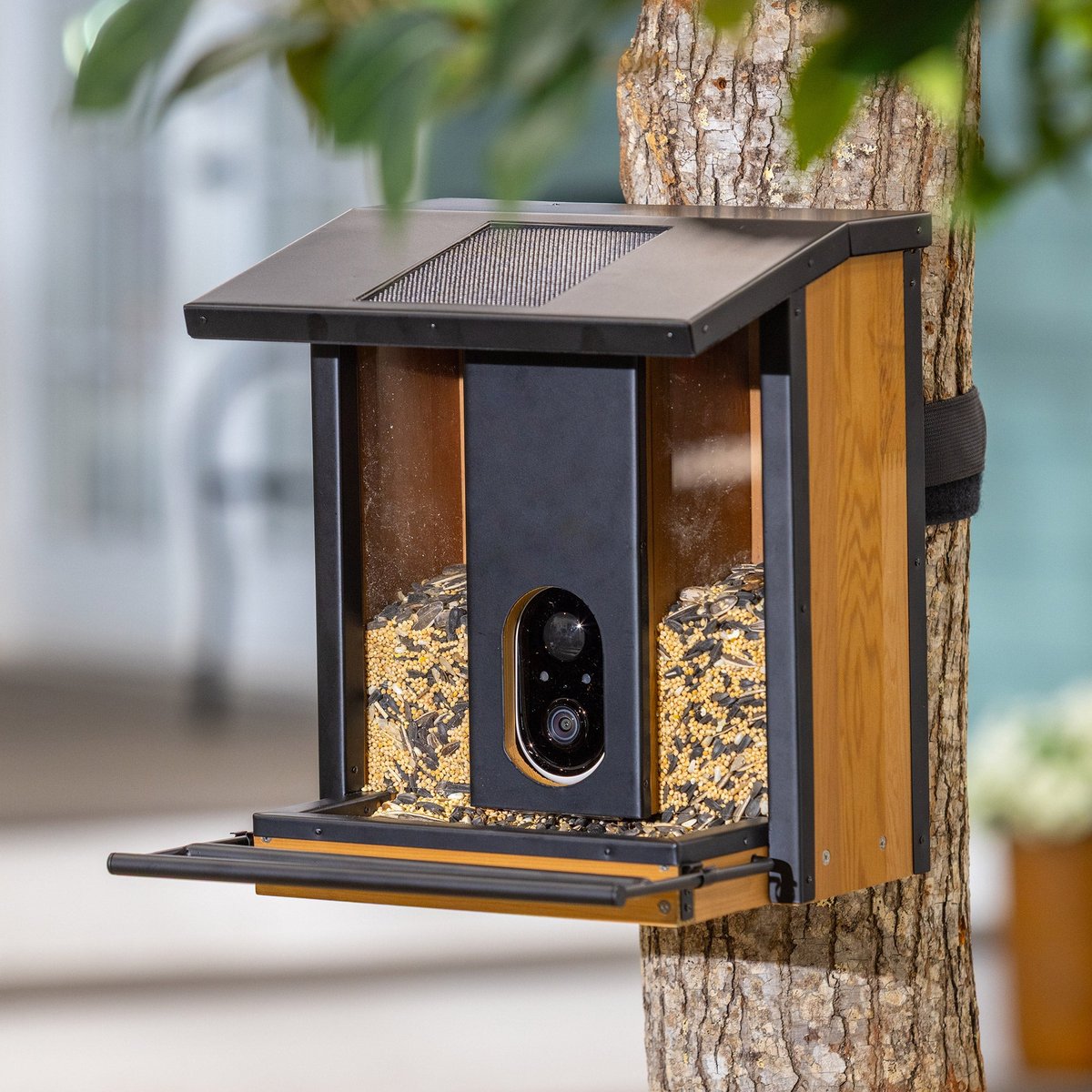 Evergreen Smart Bird Feeder with Camera - Image 1
