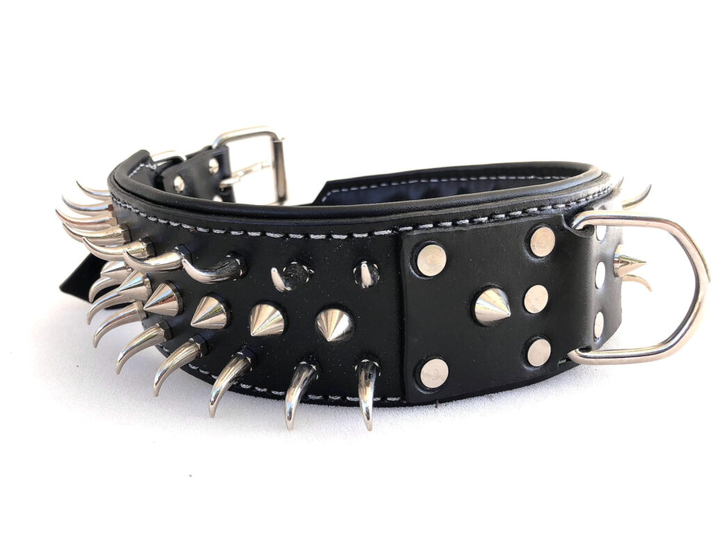 Heavy-Duty Studded Leather Dog Collar for Medium & Large
Dogs