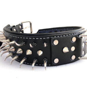 Heavy-Duty Studded Leather Dog Collar for Medium & Large
Dogs